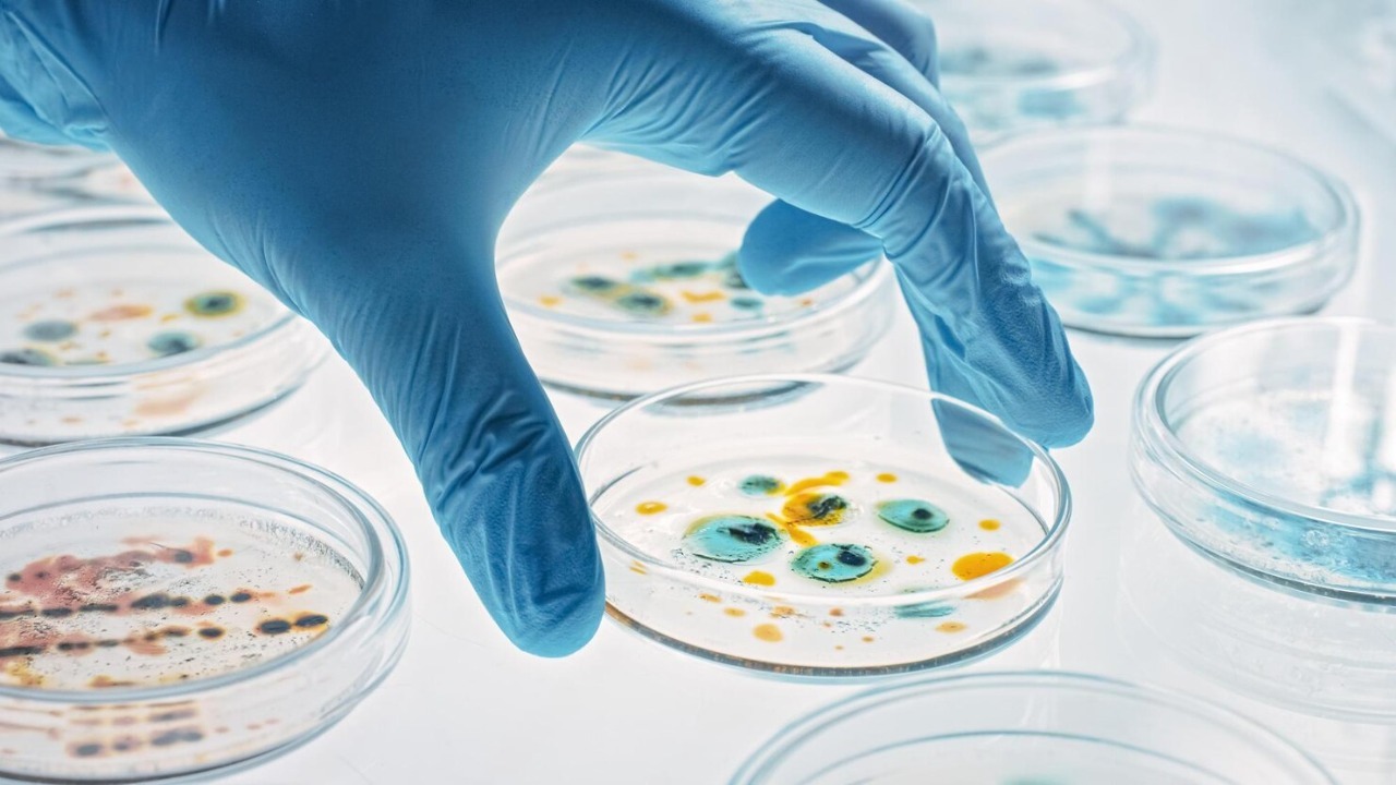 Chemical Indicator Solutions